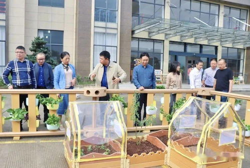 貝瑪教育 麗水市學前教育專家實地參觀指導，共促教育發展