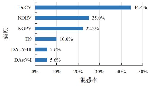 信得科技檢測中心2024年5月禽病檢測報(bào)告 聚焦蛋禽、肉禽、水禽健康管理與肝癌血漿microRNA標(biāo)志物檢測新進(jìn)展
