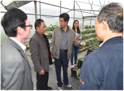 深耕產(chǎn)業(yè)一線，助力鄉(xiāng)村振興——園藝學(xué)院教工第二黨支部赴周寧、政和開展黨員活動日活動